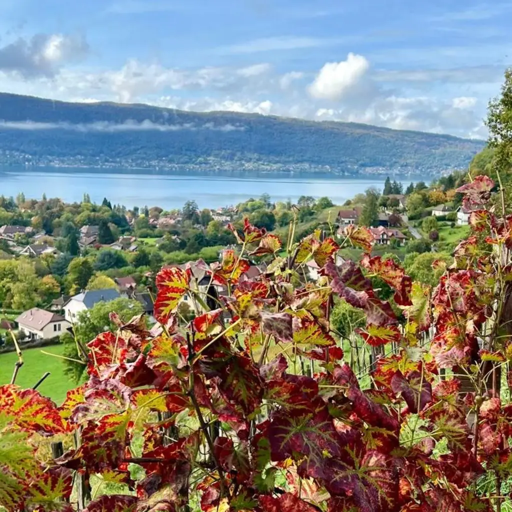 Lake Annecy & Alpine escapes